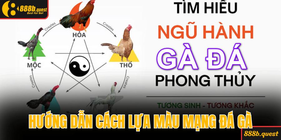 Hướng dẫn cách lựa màu mạng đá gà hiệu quả
