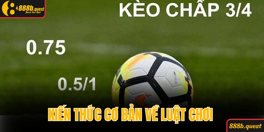Kiến thức cơ bản về luật chơi cược cần nắm