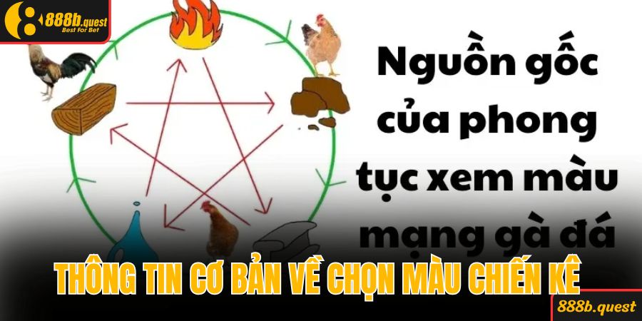 Thông tin cơ bản về chọn màu chiến kê