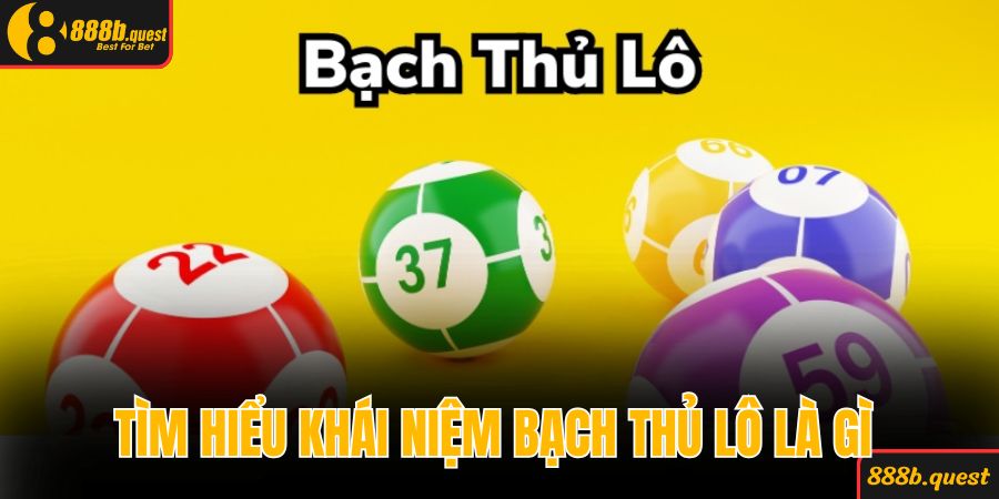 Tìm hiểu khái niệm bạch thủ lô là gì cho người mới